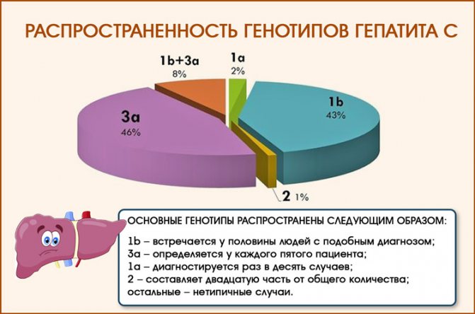 Генотип 1b гепатита с схема лечения